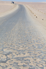 Paracas reserve, Peru.