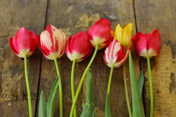 Naklejka premium Pink and yellow tulips on the wooden table