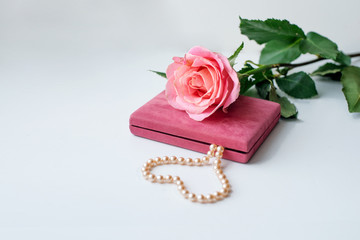Pearl necklace on rose velvet box and pink one rose. Light background.