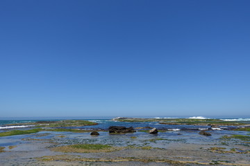 Great Otway National Park during low tide