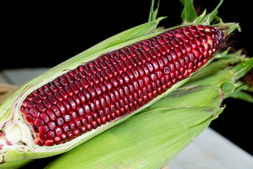 fresh sweet corn on wood table with close up shot.