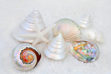 Seashell collection with mother of pearl shells on course sea salt forming a background. 