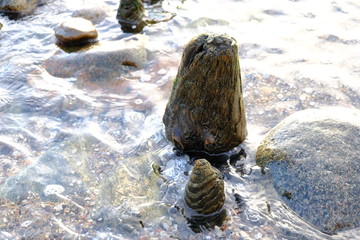 stones in water