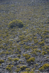 reunion island nature mountain