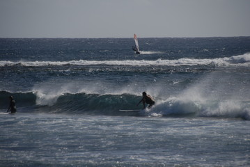 sea surfer island