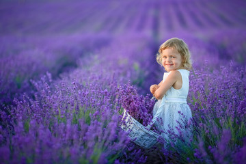 Cute little curly-haired girl in a lavender field with a basket in her hands.