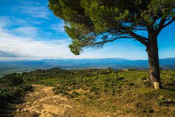 Obraz premium Beautiful landscape in north Catalonia in Cap de Creus Natural Park