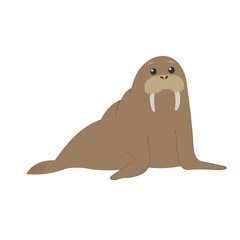 Сute cartoon walrus. Vector character. Isolated animal illustration