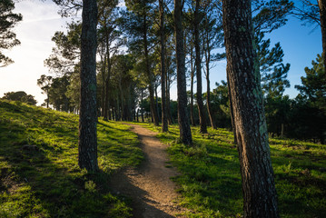 Beautiful landscape in north Catalonia in Cap de Creus Natural Park