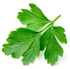 Parsley isolated on white