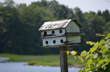 wooden bird house