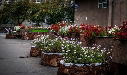 Fototapeta na wymiar Urban environment, Krasnoyarsk