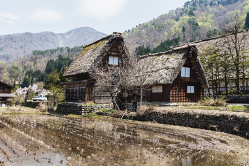 Fototapeta na wymiar Gassho zukuri houses in Shirakawa-go Japan