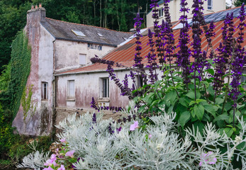 View of decorated with flower a historic town Quimperle (Kemperle) built around two rivers, the...