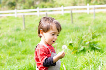 Happy boy blowing dandelion