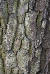 texture