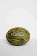 A green melon lies on a light background