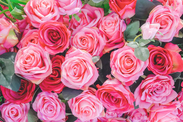 Bouquet of flowers: fresh red and pink roses for backgrounds