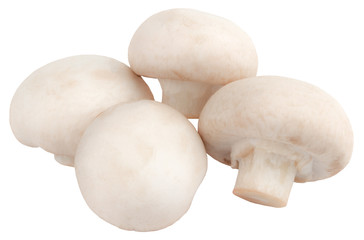  champignon mushrooms isolated on white background, with clipping path