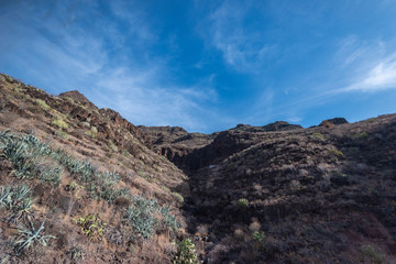 Fototapeta premium mountain view in la gomera canarias