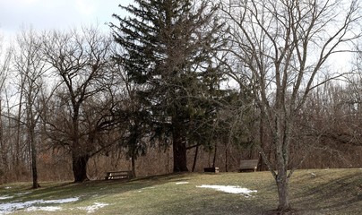 The grass hill landscape in the park on a cold winter day.
