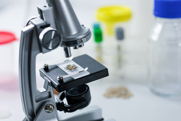 food inspection - inspecting grain quality with microscope in laboratory