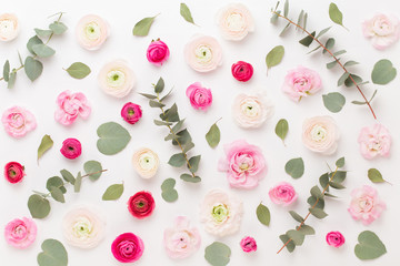Beautiful colored ranunculus flowers on a white background.Spring greeting card.