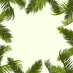 Fototapeta na wymiar Summer tropical background with exotic palm leaves. Summer. Vector illustration.