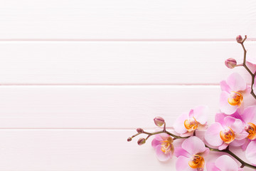 Orchid flower on the wooden pastel background. Spa and wellness scene.