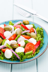 Vegetable salad with cheese mozzarella, tomatoes, basilikum and spice.