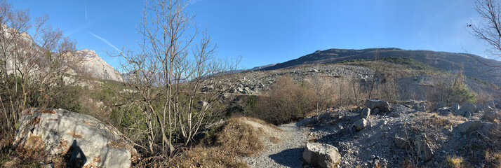 tree in the mountains