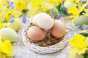 Yellow daffodils and easter eggs, festive decor