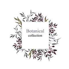 Botanical watercolor collection