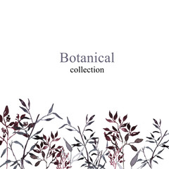 Botanical watercolor collection