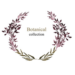 Botanical watercolor collection