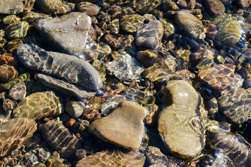 Stones covered with moss lying underwater.