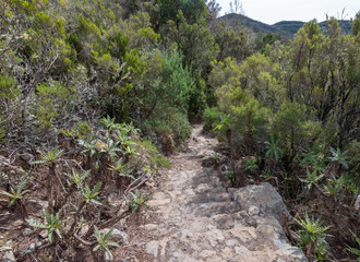 road on mountains la gomera canarias