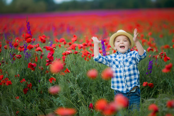 Little cute boy in field with red poppies and blue sky