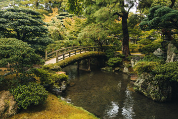 Fototapeta na wymiar Natural landscape in Japan. Beautiful japanese botanic garden in autumn, Kyoto