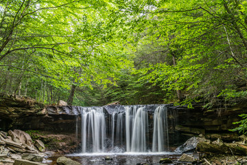 Forest Over Oneida Waterfall in Ricketts Glen State Park of Pennsylvania