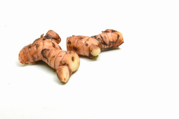 Alpinia galanga plant 