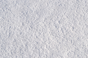 Obraz premium Dense snow surface. Texture, background. Dense snow with indistinct traces.