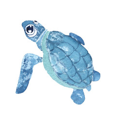 turtle watercolor illustration