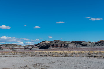 Colorful desert landscape in Petrified Forest National Park, Arizona