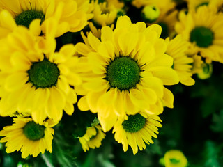 Fake yellow daisy flower