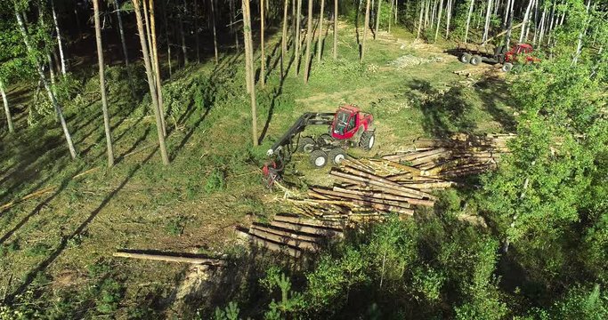 The forestry industry. Pine Forest Harvesting Machine. Logging Equipment. The harvester lumberjack working in a forest. Forest Wheeled Harvesters. A cut-to-length (CTL) forest harvester. 