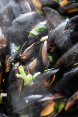 mussels on the pan