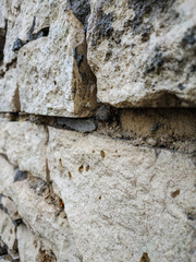 old light brick wall side view