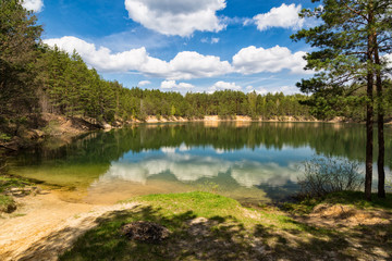 Summer landscape: blue lake surrounded by pine forest