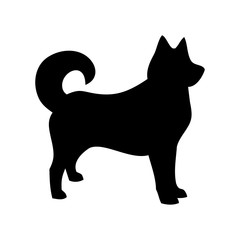 the dog Laika,pet